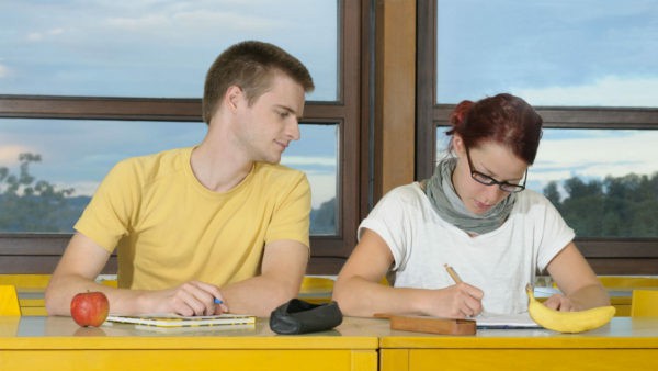 必应 AI 聊天需要停止获取必应搜索结果